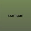 Rączka RAMA WIDE szampan 2
