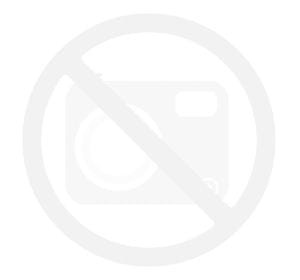 Maskownica toru Rama nowa złoto